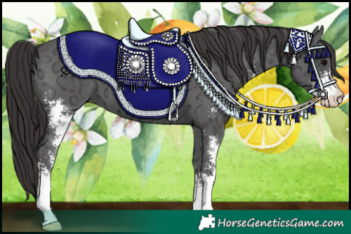 Horse Color:Smoky Black Ice Sabino