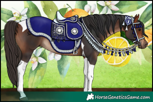 Horse Color:Bay Tobiano