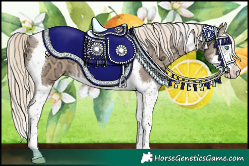 Horse Color:Chocolate Palomino Ice Pearl Sabino Splash Tobiano 