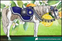 Horse Color:Chocolate Palomino Ice Pearl Sabino Splash Tobiano 