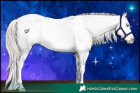 Horse Color:Chocolate Palomino Pearl Appaloosa 