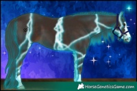 Horse Color:Thunderstruck Liver Chestnut