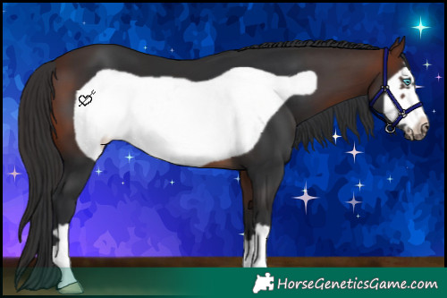 Horse Color:Brown Frame 