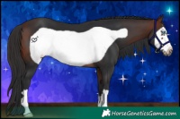 Horse Color:Brown Frame 