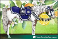 Horse Color:Silver Bay Onyx Frame Rabicano 