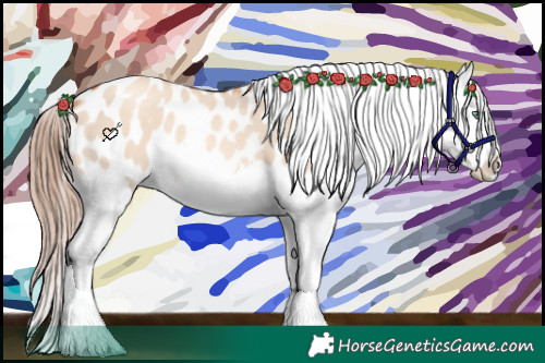 Horse Color:Gold Champagne Dun Splash Blanket 