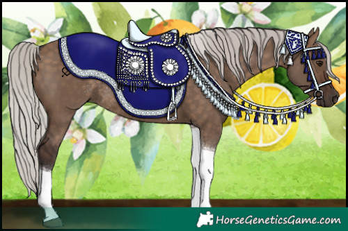 Horse Color:Silver Brown Dun Tobiano Rabicano