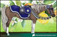 Horse Color:Silver Brown Dun Tobiano Rabicano