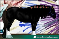 Horse Color:Void Liver Red Dun Splash