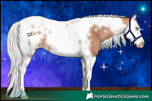 Horse Color:Silver Sable Champagne Splash Tobiano Frame Rabicano