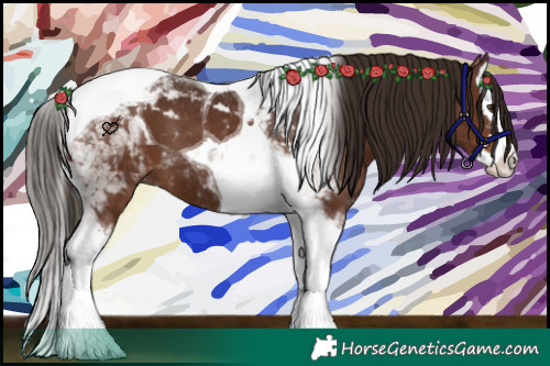 Horse Color:Liver Chestnut Splash Tobiano 