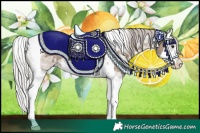 Horse Color:Silver Brown Ice Dun Splash Tobiano Rabicano 