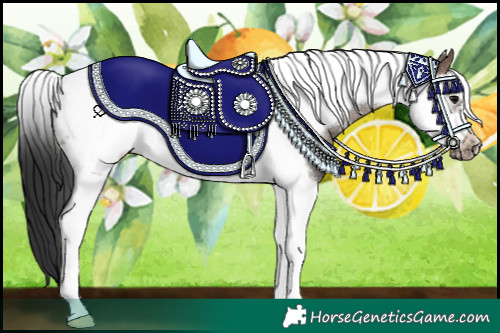 Horse Color:Brown Dun Tobiano Frame Rabicano