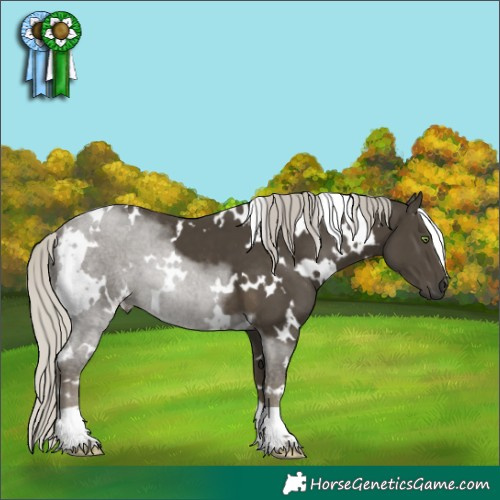 Horse Color:White Spotted Silver Smoky Black 