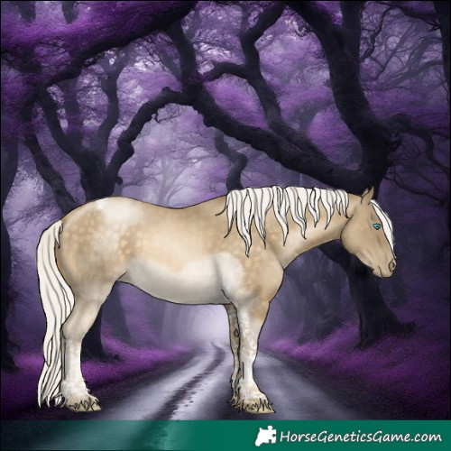 Horse Color:Silver Buckskin Pearl Tobiano 