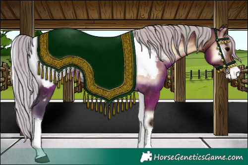 Horse Color:White Spotted Silver Brown Onyx Appaloosa 