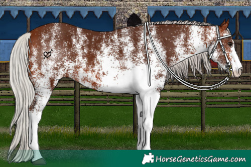 Horse Color:White Spotted Silver Brown 