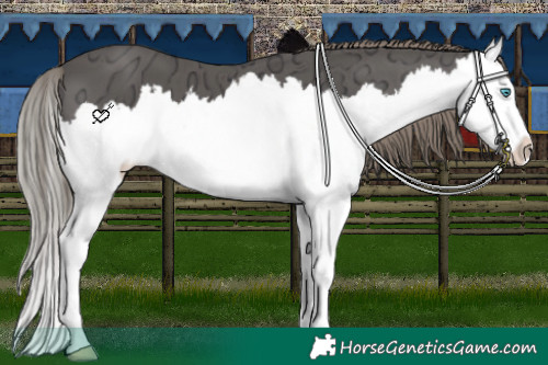 Horse Color:Liver Chestnut Ice Splash 
