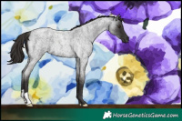 Horse Color:Liver Red Roan 