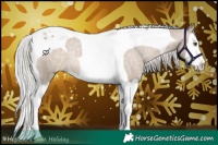 Horse Color:Silver Brown Dun Splash Tobiano Blanket Rabicano 