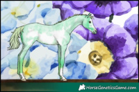 Horse Color:Watercolor Chocolate Palomino Roan Frame 