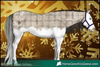 Horse Color:Plaid  Brown Ice Dun Splash 