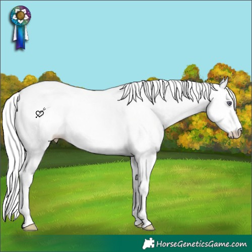 Horse Color:Liver Chestnut Chinchilla Splash 