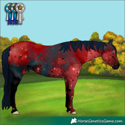 Horse Color:ERROR: UNKNOWN ANOMALY