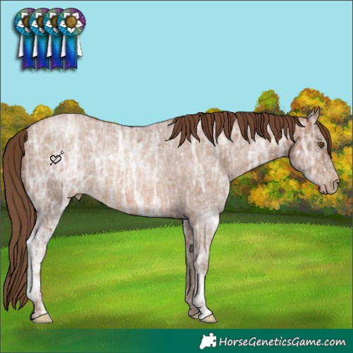 Horse Color:Brown Ice Pearl 