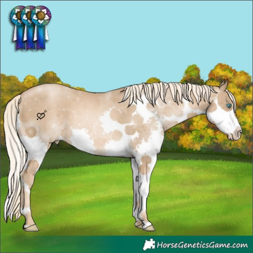 Horse Color:Chocolate Palomino Pearl Splash 