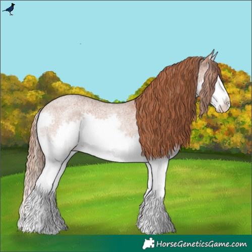 Horse Color:Red Ice Roan Splash