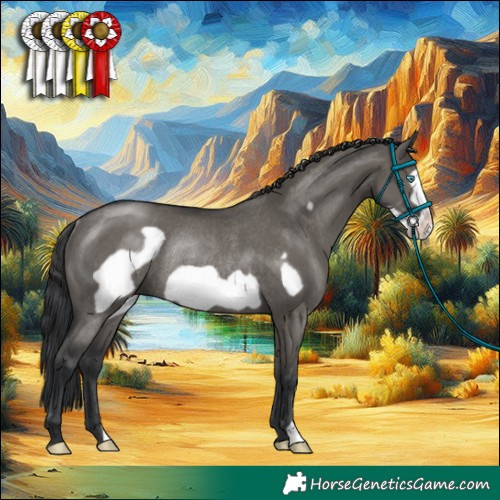 Horse Color:Grullo Frame Rabicano 
