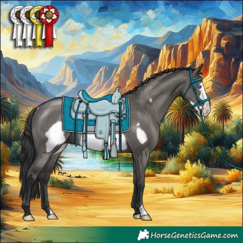 Horse Color:Grullo Frame Rabicano 