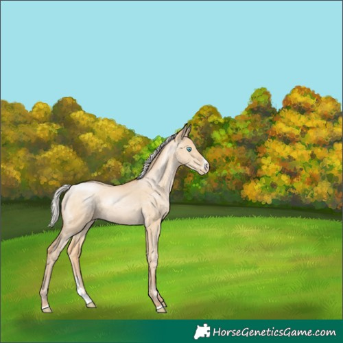 Horse Color:Silver Buckskin Pearl Dun Sabino 