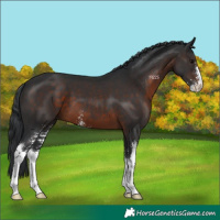 Horse Color:Brown Sabino 