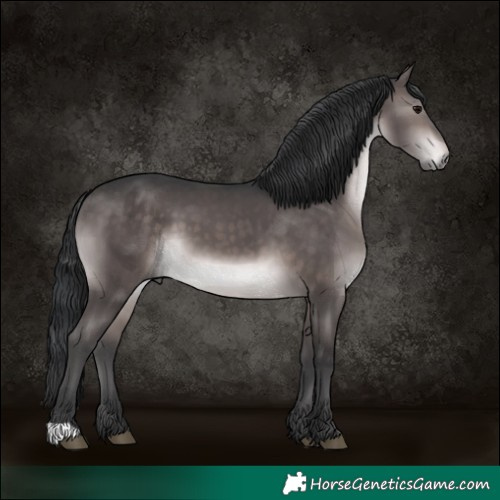 Horse Color:Platinum Brown 