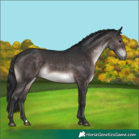 Horse Color:Platinum Brown 