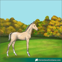 Horse Color:Silver Buckskin