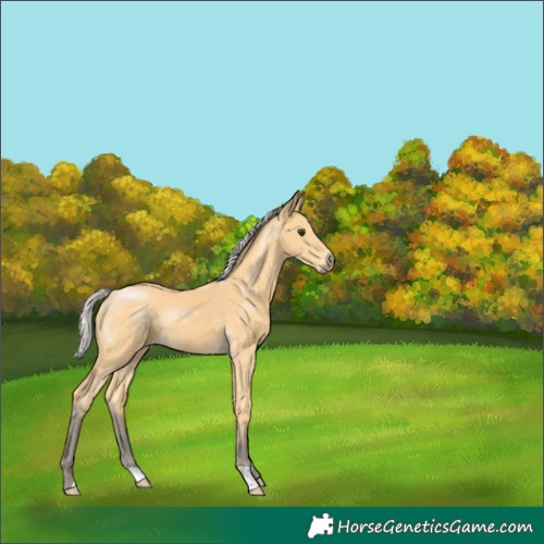 Horse Color:Silver Buckskin