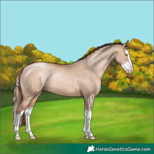 Horse Color:Brown Pearl Dun Sabino Splash 