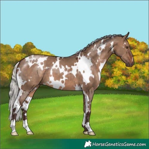 Horse Color:White Spotted Silver Brown Dun 