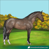 Horse Color:Brown Dun