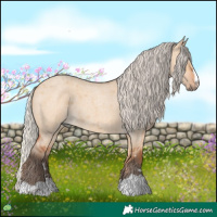 Horse Color:Silver Bay Roan Dun 