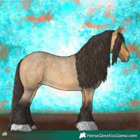 Horse Color:Buckskin Roan 