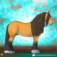 Horse Color:Buckskin 