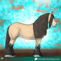 Horse Color:Buckskin 