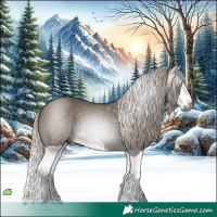 Horse Color:Gray Silver Grullo Splash