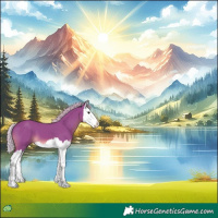 Horse Color:Watercolor Silver Black Splash