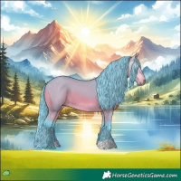Horse Color:Gray Watercolor Bay Appaloosa 