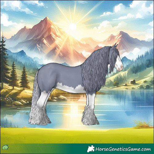 Horse Color:Watercolor Black Splash